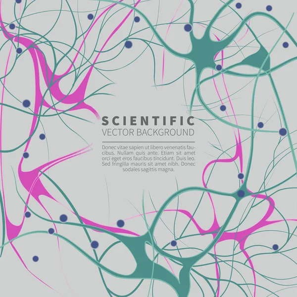 Modelo de sistema neural — Vector de stock