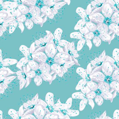 Kiraz çiçeği sorunsuz