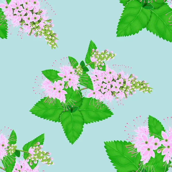 Seamless pattern of mint leaves — Stock Vector