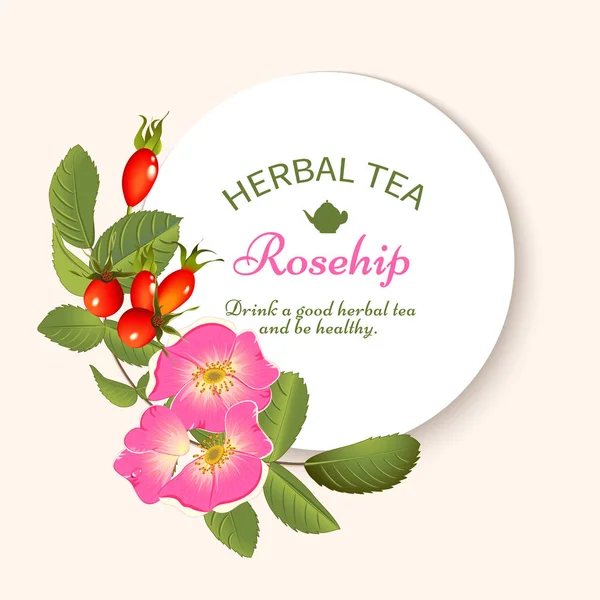 Rosehip chá de ervas —  Vetores de Stock