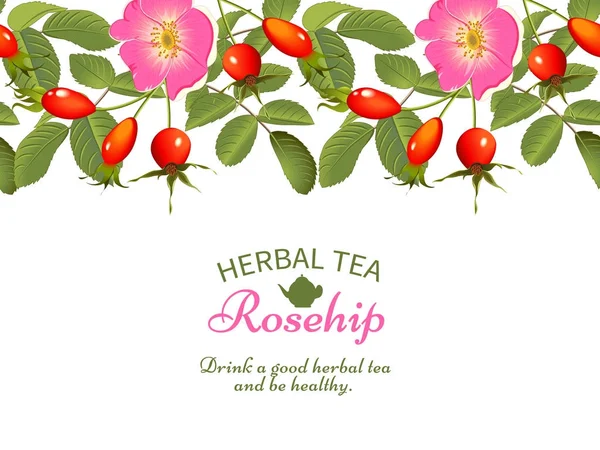 Rosehip chá de ervas —  Vetores de Stock