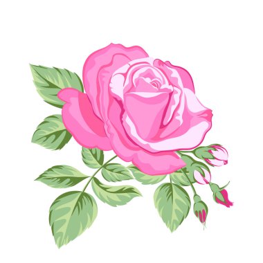 Bir buket pembe gül.