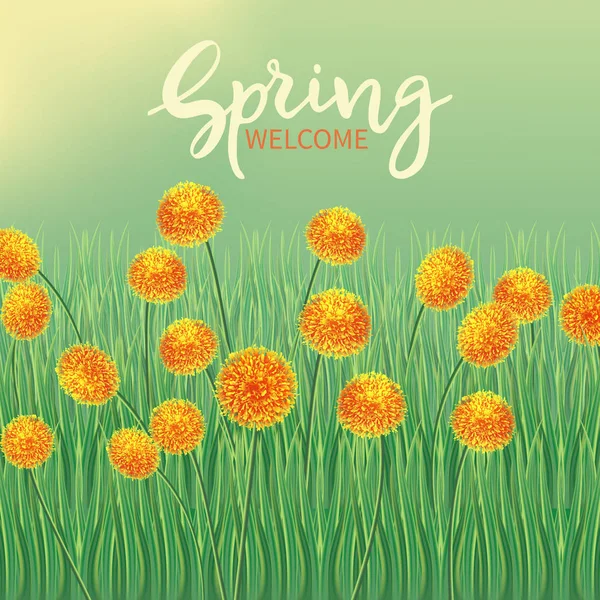 Bannière Printemps Bienvenue Bordure Herbe Fleurs Jaunes Orange Fond Prairie — Image vectorielle