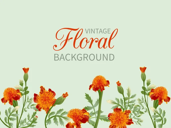 Marco de flores caléndulas — Vector de stock