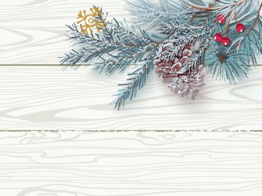 Beyaz ahşap kaplama arka planda bir koni ile kar kaplı mavi Noel ağacı dalı.