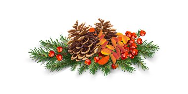Beyaz arka planda çam kozalağı ve kırmızı böğürtlenli yeşil Noel ağacı dalı