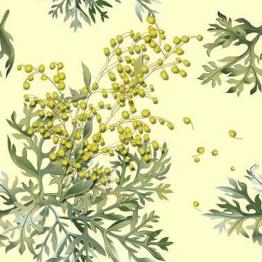 Pelin otunun kusursuz deseni. Artemisia Absinthium. Wormwood dalı, pelin çiçeği ve yapraklar..
