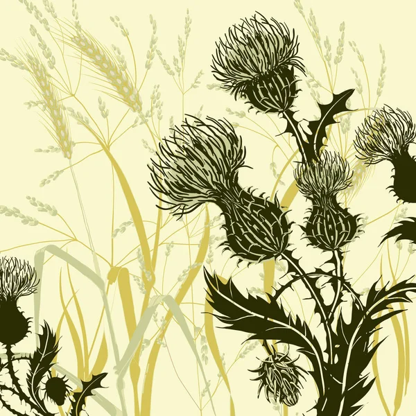 Silhueta de cardo em plantas de prado de fundo e cereais. Composição floral com flores silvestres . — Vetor de Stock