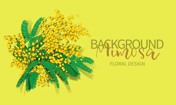 Bienvenida de primavera, letras. Ramo de flores de Mimosa aislado sobre fondo blanco . — Vector de stock