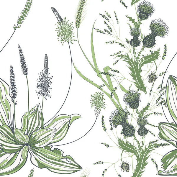Nahtloses Muster von Wegerich mit Blumen und Blättern auf weißem Hintergrund. — Stockvektor