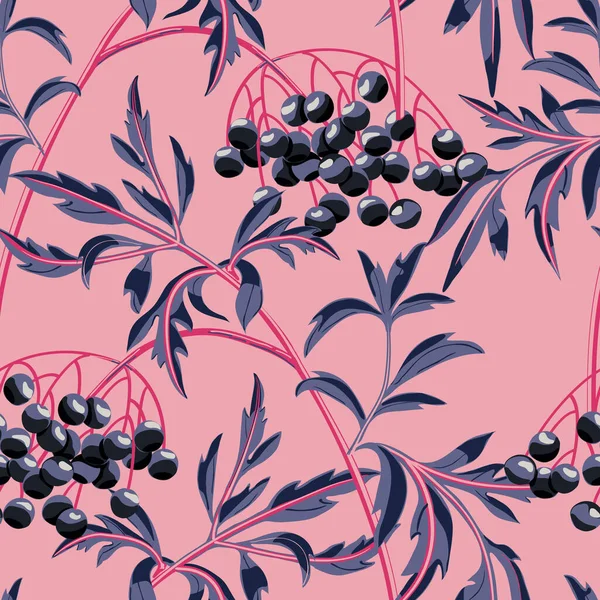 Ramo di sambuco nero con bacche e foglie su sfondo rosa. Modello senza soluzione di continuità vettoriale . — Vettoriale Stock
