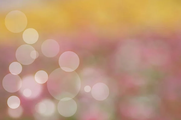 美しいカラフルな花と背景のボケ味がぼやけ. — ストック写真