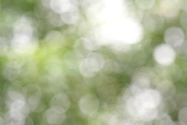 güzel doğa yeşil bokeh arka plan