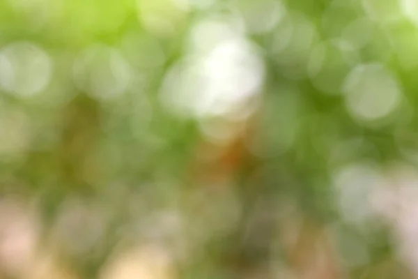 Hermosa naturaleza verde fondo bokeh, parque borroso con fondo bokeh — Foto de Stock