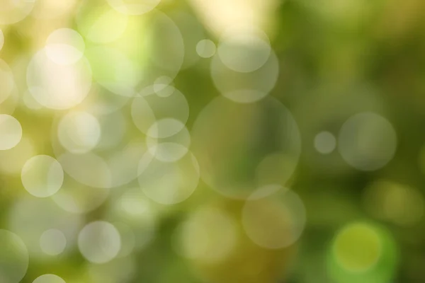 Beautiful nature green bokeh background, Blurred park with bokeh background — Stock Photo, Image