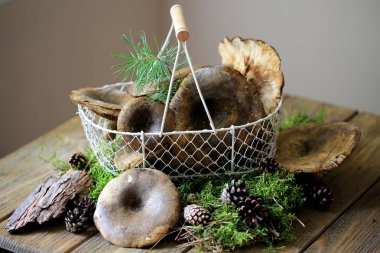 Siyah agaric bir sepet