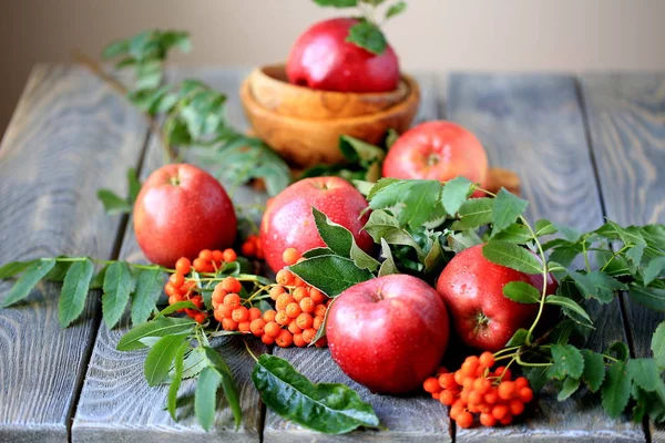 Red apples - new autumn harvest — Stock Photo, Image