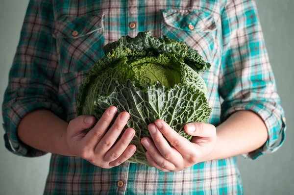 Gli agricoltori si tengono per mano il verza. Ortaggi biologici — Foto Stock