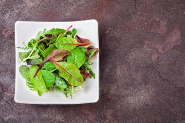 Ispanak, roka, pazı ile taze yeşil salata yaprakları, marul. Karışık salata yaprakları. Sağlıklı gıda ve beslenme kavramı