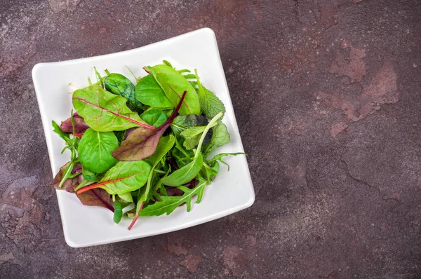Ispanak, roka, pazı ile taze yeşil salata yaprakları, marul. Karışık salata yaprakları. Sağlıklı gıda ve beslenme kavramı — Stok fotoğraf