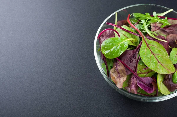 Frisse groene salade met rucola, bladeren van de snijbiet, spinazie, sla. Gemengde salade laat op donkere achtergrond. Gezonde voeding, gezonde levensstijl en dieet concept. Bovenaanzicht — Stockfoto