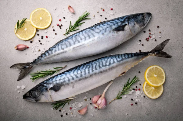 Świeże, surowe ryby. Makrela z soli, cytryny i przypraw na szarym tle. Gotowania ryb z ziołami — Zdjęcie stockowe