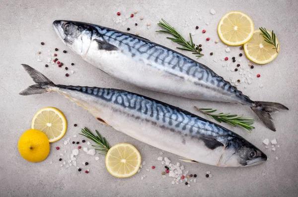 Peixe cru fresco. Cavala com sal, limão e especiarias no fundo cinza. Cozinhar peixe com ervas — Fotografia de Stock