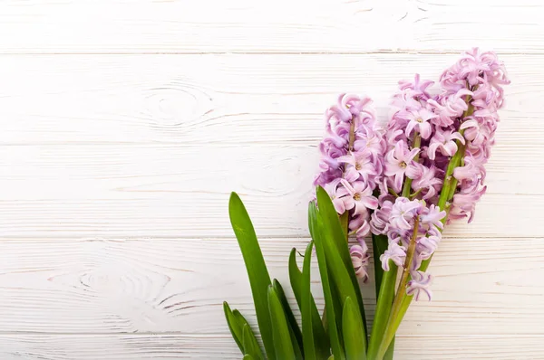 Fiori di giacinto su sfondo bianco in legno — Foto Stock