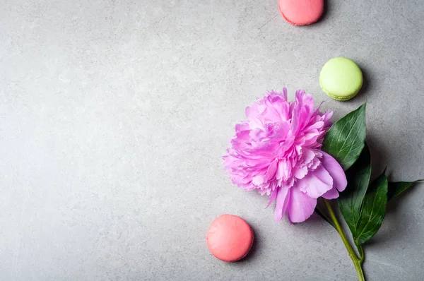 Flor peônia, macaroons em fundo cinza. Feriados, feliz aniversário, aniversário — Fotografia de Stock