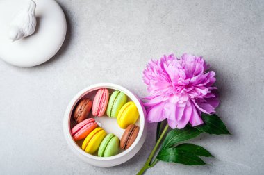 Çiçek Şakayık, macaroons gri arka plan üzerinde. Mutlu doğum günü, yıldönümü