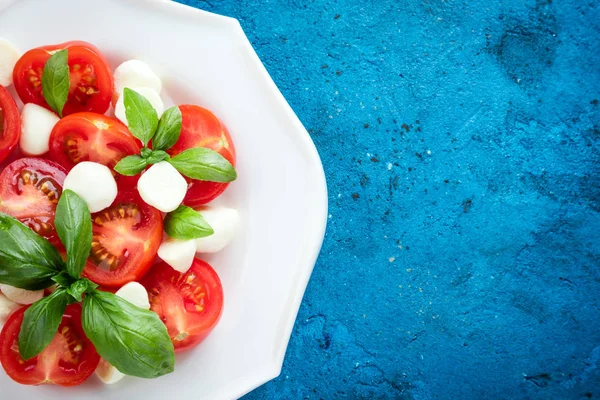 Caprese salatası. Mozzarella peyniri, domates, fesleğen bitki yaprakları beton masa portre üzerinde. Italyan Mutfagi