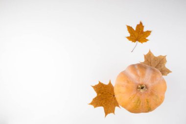 Sonbahar arka plan. Kabak ve beyaz arka plan yapraklarda. Şükran günü ve Cadılar Bayramı kartı. Üstten Görünüm