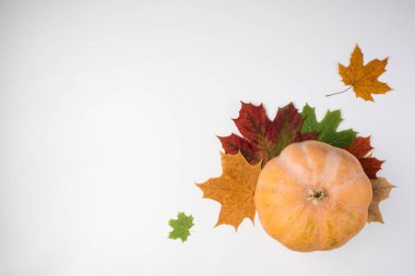Kabak ve yaprakları ile sonbahar arka plan. Şükran günü ve Cadılar Bayramı tatil. Sonbahar kartı