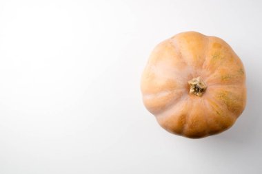 Balkabağı beyaz masada. Sonbahar arka plan. Kopya alanı