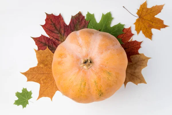 Autumn background with pumpkin and leaves. Thanksgiving day and halloween holidays — Stock Photo, Image