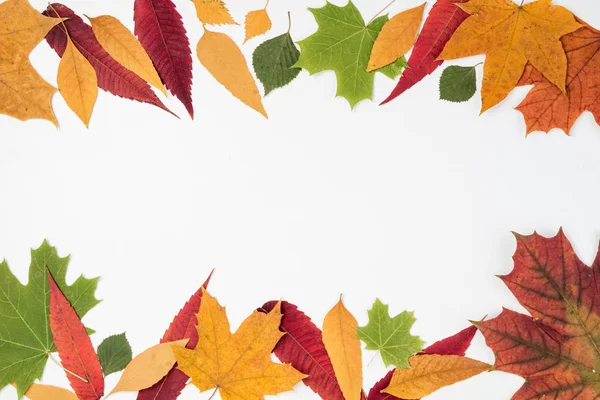 Sonbahar kompozisyon. Sonbaharında yapılan çerçeve bırakır. Sonbahar arka plan. Üstten Görünüm. Düz yatıyordu