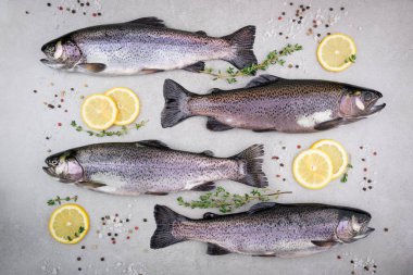 Taze balık. Alabalık gri arka plan üzerine tuz, limon ve baharat kekik otlar ile. Otlar ile Balık Pişirme