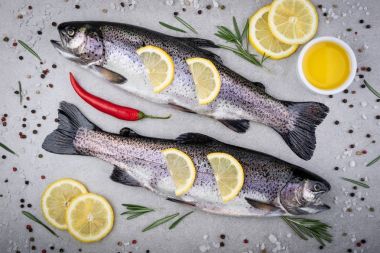 Taze balık. Tuz, limon ve gri arka plan üzerinde baharatlar ile alabalık. Otlar ile Balık Pişirme