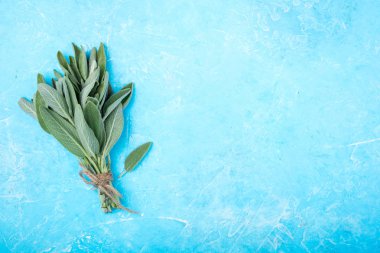 Mavi zemin üzerine taze adaçayı. Aromatik grup adaçayı. Bahçe otlar