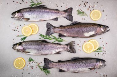 Taze balık. Tuz, limon, biberiye, baharatlar ve otlar gri arka plan üzerinde alabalık. Otlar ile Balık Pişirme