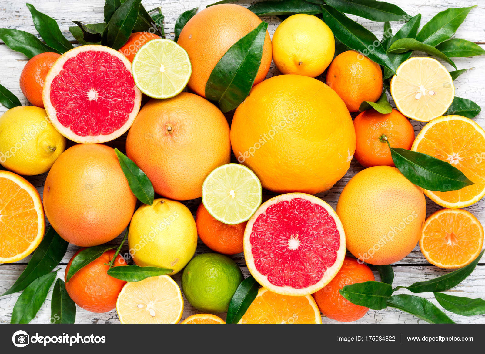 Citrus fruits background. Assorted fresh citrus fruits with leaves