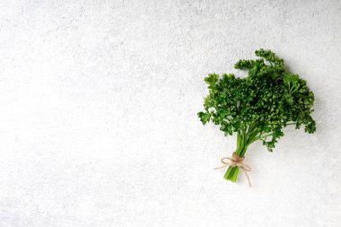 Beyaz beton zemin üzerine maydanoz grup. Taze maydanoz ot