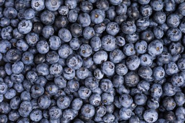 Taze yabanmersini arka plan. Yaz meyveleri. Doku yaban mersini