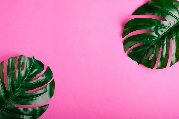 Hojas tropicales monstera sobre fondo rosa. Puesta plana — Foto de Stock