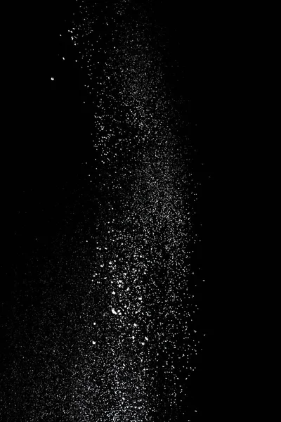 White powder splash isolated on black background. Flour sifting on a black background. Explosive powder white