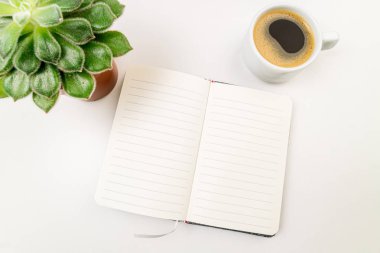 Düz kompozisyonlar, dizüstü bilgisayar, bitki ve kahve fincanları beyaz masanın üzerinde duruyordu. İş, eğilimler, serbest meslek, eğitim, sabitleme, yazma kavramı. 