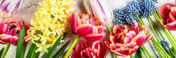 春天的背景是郁金香 春天的花朵 女性背景 花形图案 复活节 母亲节 3月8日的概念 顶部视图 长格式 — 图库照片