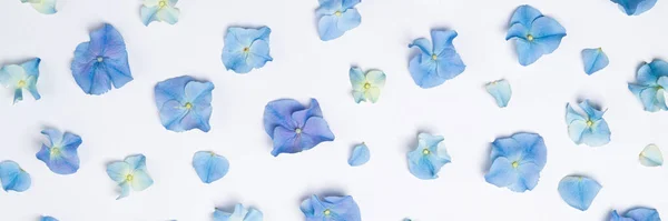 Flowers Composition Floral Pattern Blue Flowers Hydrangea White Background Creative — Stock Photo, Image