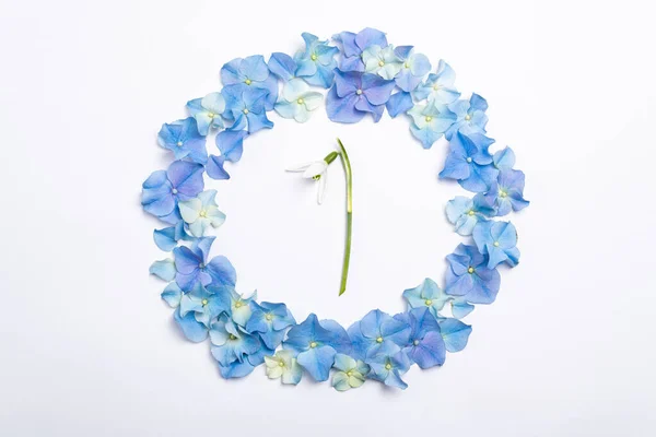 Composição Flores Moldura Feita Flores Azuis Hortênsia Neve Fundo Branco — Fotografia de Stock