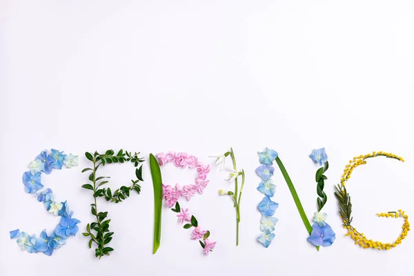 Слово Весна Квітів Трав Білому Тлі Композиція Весняних Квітів Креативна — стокове фото